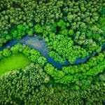 groupement forestier d'investissement