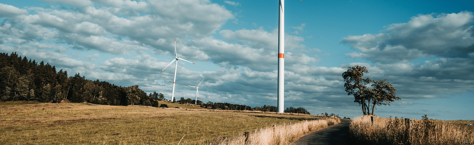Tendance RSE : investir dans la transition écologique