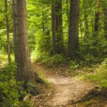 Vers-un-investissement-plus-VERT