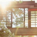 LMNP ou Pinel : que choisir pour votre investissement immobilier ?
