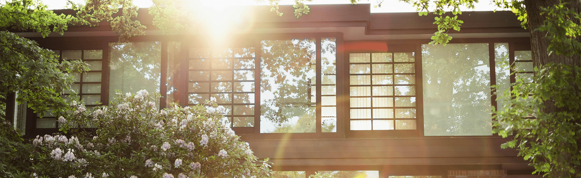 LMNP ou Pinel : que choisir pour votre investissement immobilier ?