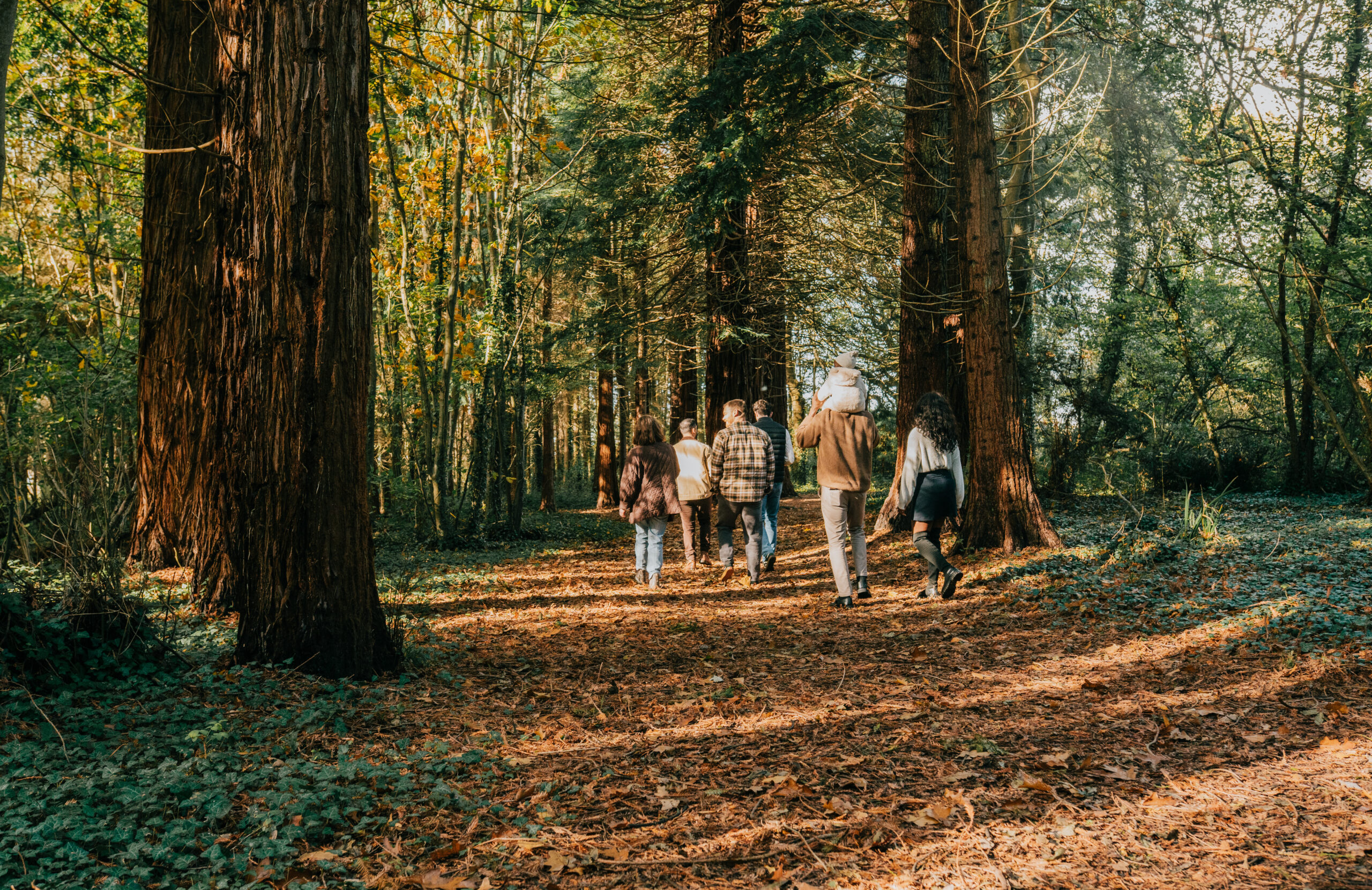 Famille marchant dans une forêt, illustration d’un groupement forestier familial